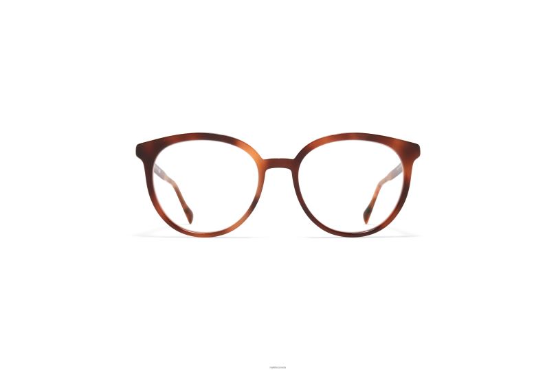 AYANMYKITA Frame: C133 Zanzibar/Silk Champagne G B260B714 Acetate