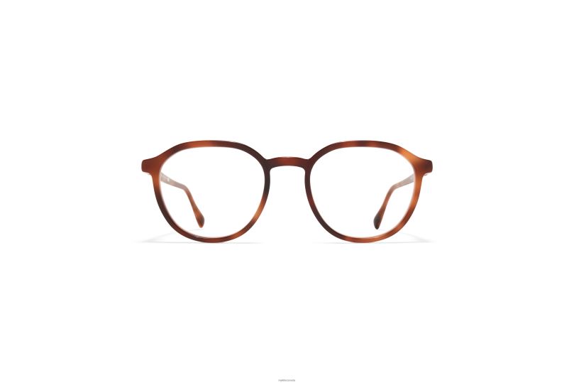 EKONMYKITA Frame: C122 Zanzibar/Silk Mocca B260B727 Acetate