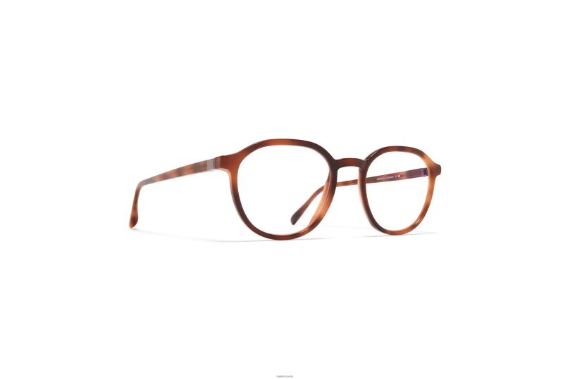 EKONMYKITA Frame: C122 Zanzibar/Silk Mocca B260B727 Acetate