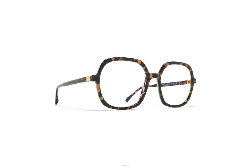 FARAHMYKITA Frame: C135 Antigua/Silk Gold B260B498 Acetate