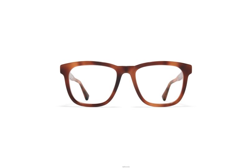 JAZMYKITA Frame: C137 Zanzibar/Shiny Silver B260B502 Acetate