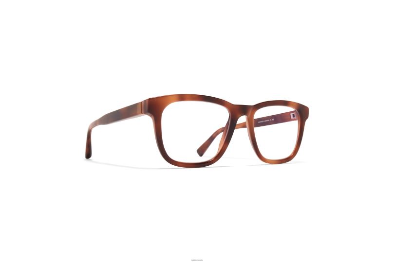 JAZMYKITA Frame: C137 Zanzibar/Shiny Silver B260B502 Acetate
