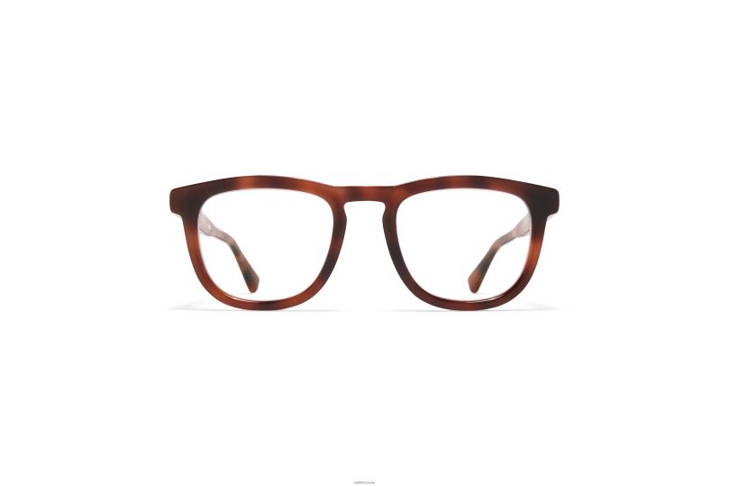 LERATOMYKITA Frame: C137 Zanzibar/Shiny Silver B260B509 Acetate