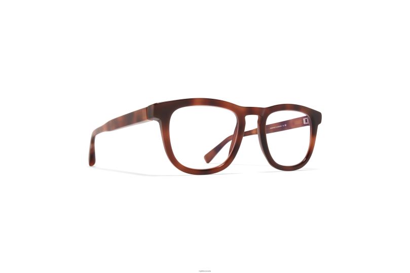 LERATOMYKITA Frame: C137 Zanzibar/Shiny Silver B260B509 Acetate