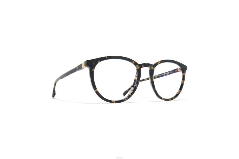 NALAMYKITA Frame: C135 Antigua/Silk Gold B260B733 Acetate