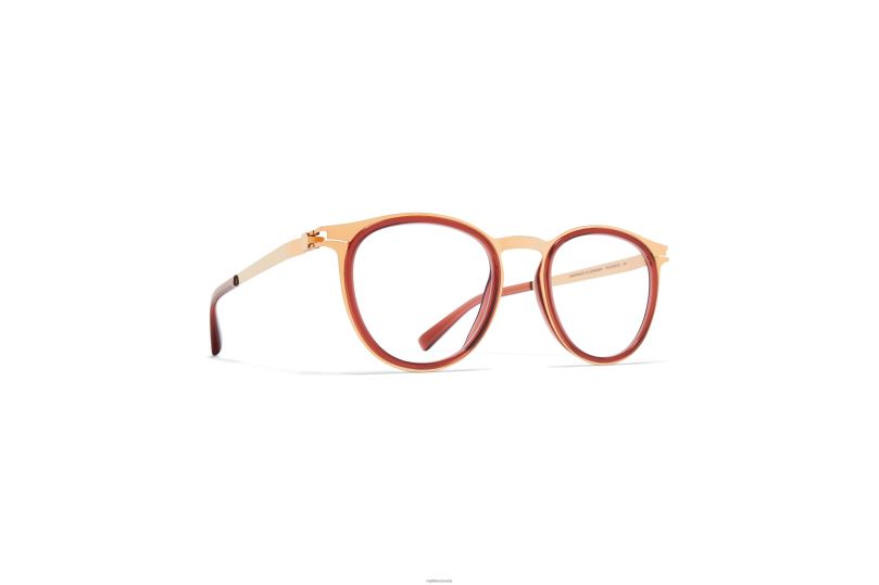 SIWAMYKITA Frame: A60 Champagne Gold/Pine Honey B260B741 Acetate