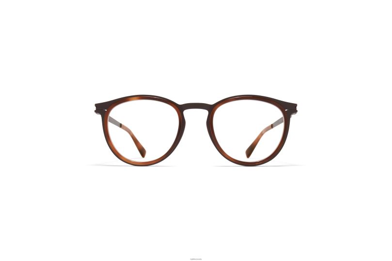 SIWAMYKITA Frame: A61 Dark Brown/Zanzibar B260B742 Acetate
