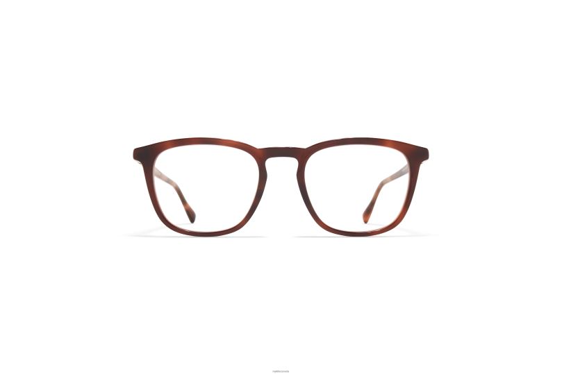 TIWAMYKITA Frame: C122 Zanzibar/Silk Mocca B260B518 Acetate
