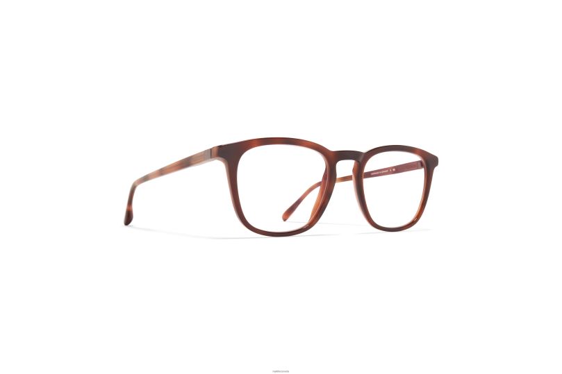TIWAMYKITA Frame: C122 Zanzibar/Silk Mocca B260B518 Acetate