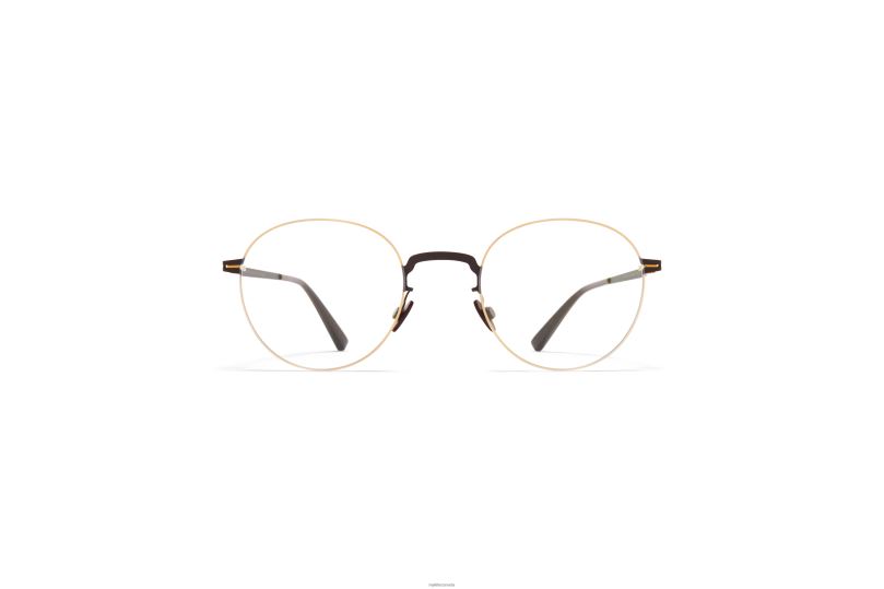 AKEMIMYKITA Frame: Gold/Dark Brown B260B689 Lessrim