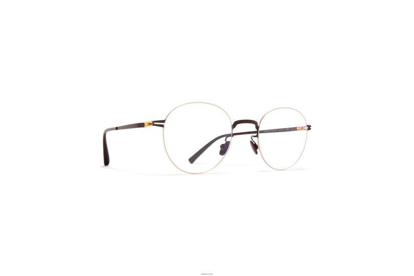 AKEMIMYKITA Frame: Gold/Dark Brown B260B689 Lessrim