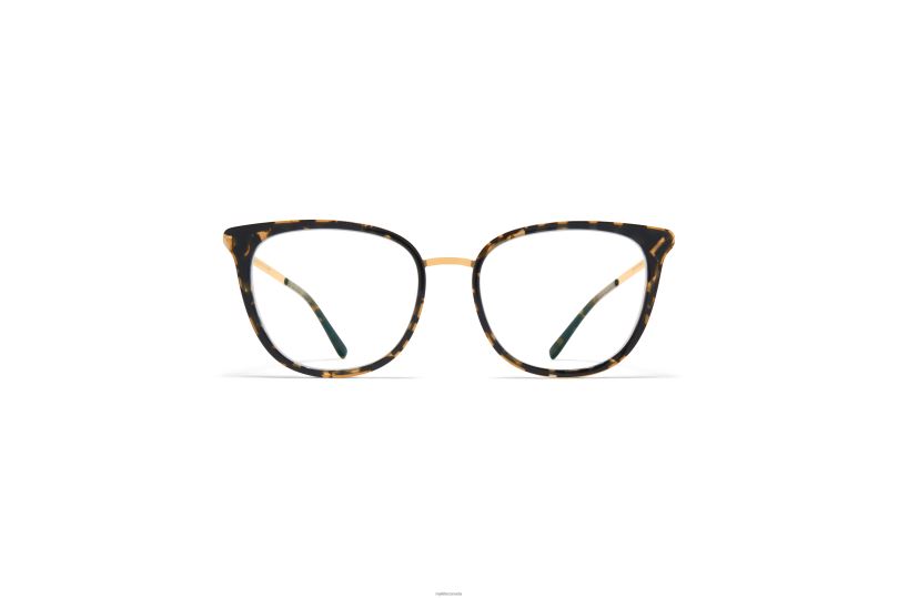 ANNIKAMYKITA Frame: A38 Champagne Gold/Antigua B260B765 Lite