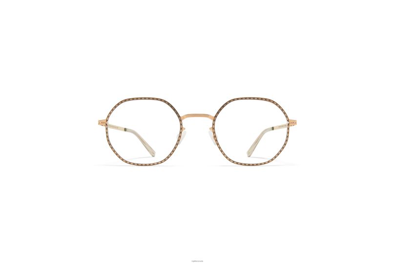 AURIMYKITA Frame: Champagne Gold/Black B260B369 Lite