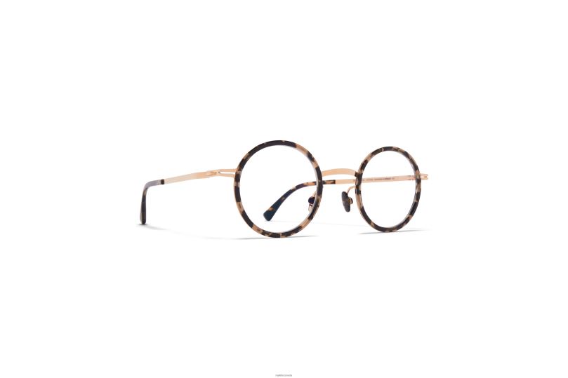 EETUMYKITA Frame: A38 Champagne Gold/Antigua B260B535 Lite