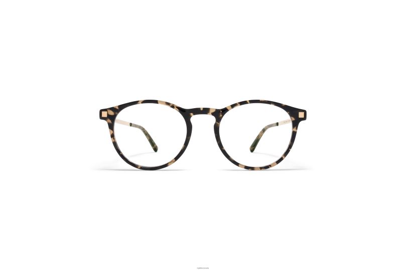 ERVAMYKITA Frame: C22 Antigua/Champagne Gold B260B539 Lite