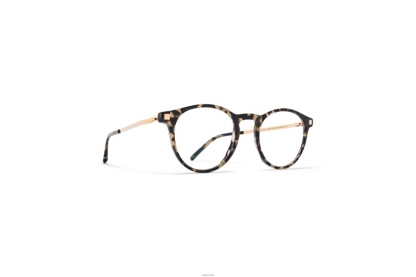 ERVAMYKITA Frame: C22 Antigua/Champagne Gold B260B539 Lite