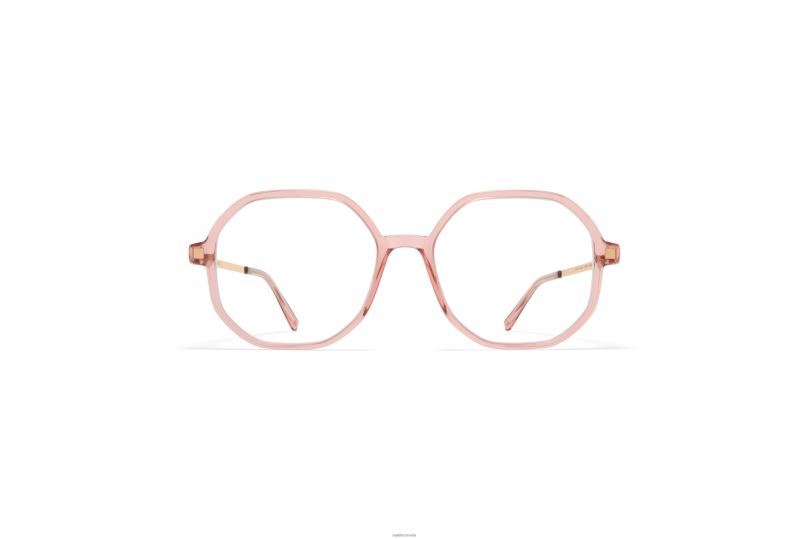 HILLAMYKITA Frame: C103 Melrose/Champagne Gold B260B379 Lite