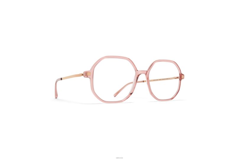 HILLAMYKITA Frame: C103 Melrose/Champagne Gold B260B379 Lite