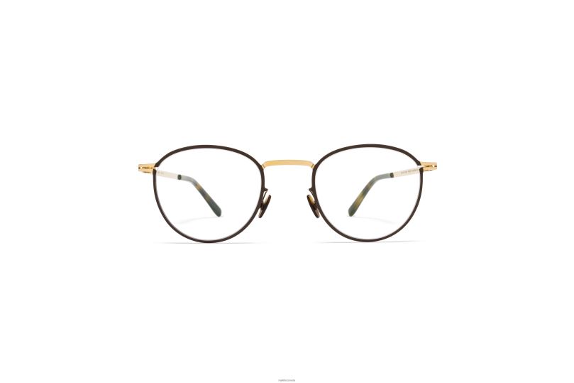 ISMOMYKITA Frame: Champagne Gold/Dark Brown B260B627 Lite