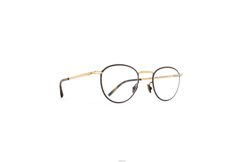 ISMOMYKITA Frame: Champagne Gold/Dark Brown B260B627 Lite