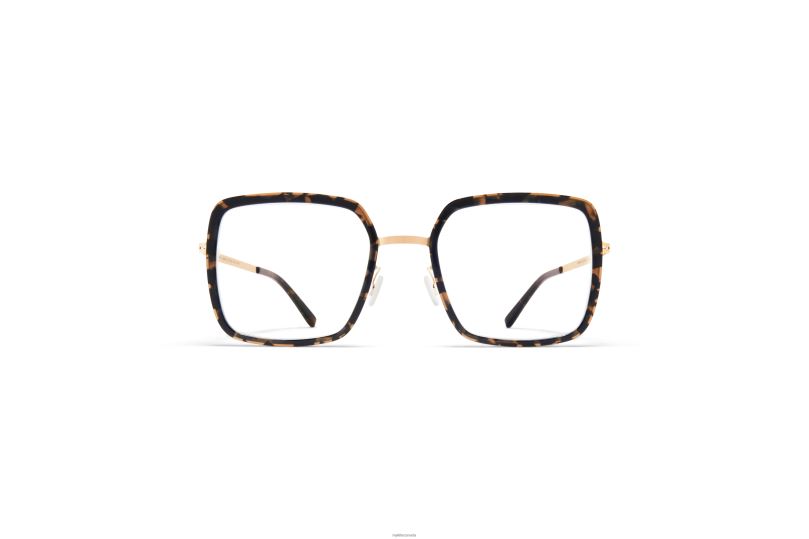 LAYANAMYKITA Frame: A38 Champagne Gold/Antigua B260B405 Lite
