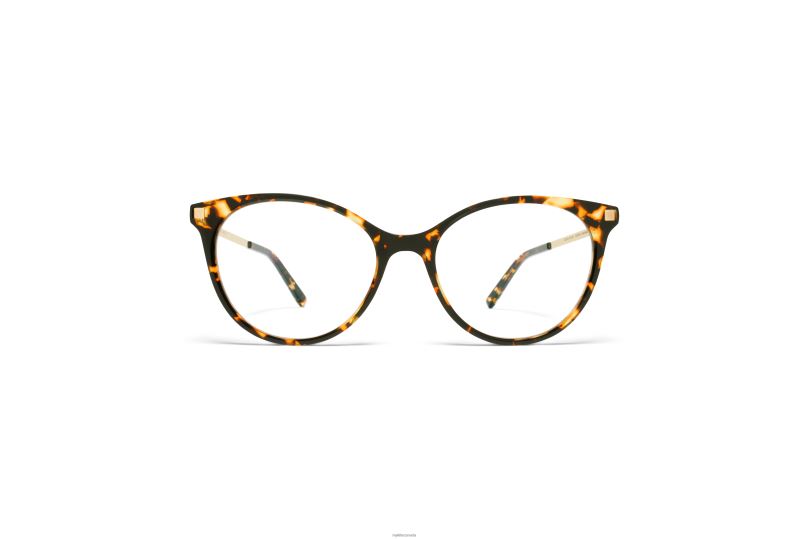 NANOOKMYKITA Frame: C12 Trinidad/Glossy Gold B260B780 Lite