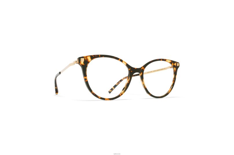 NANOOKMYKITA Frame: C12 Trinidad/Glossy Gold B260B780 Lite