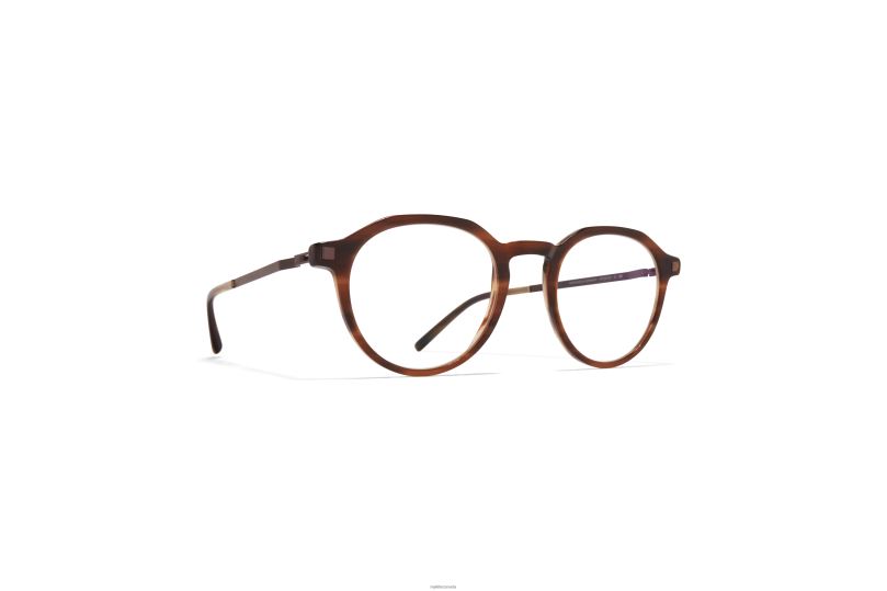 SAGAMYKITA Frame: C175 Striped Brown/Mocca B260B664 Lite