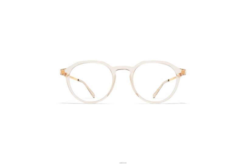 SAGAMYKITA Frame: C1 Champagne/Glossy Gold B260B662 Lite