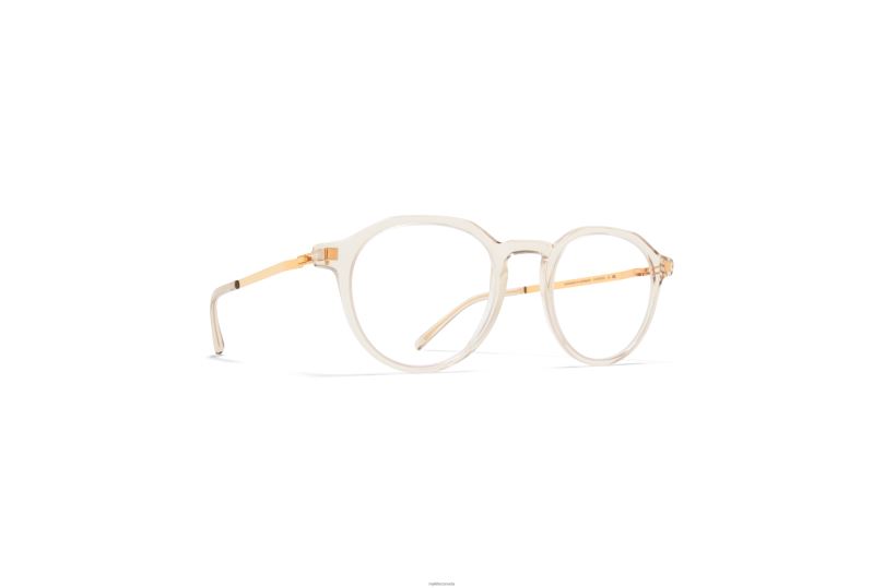 SAGAMYKITA Frame: C1 Champagne/Glossy Gold B260B662 Lite