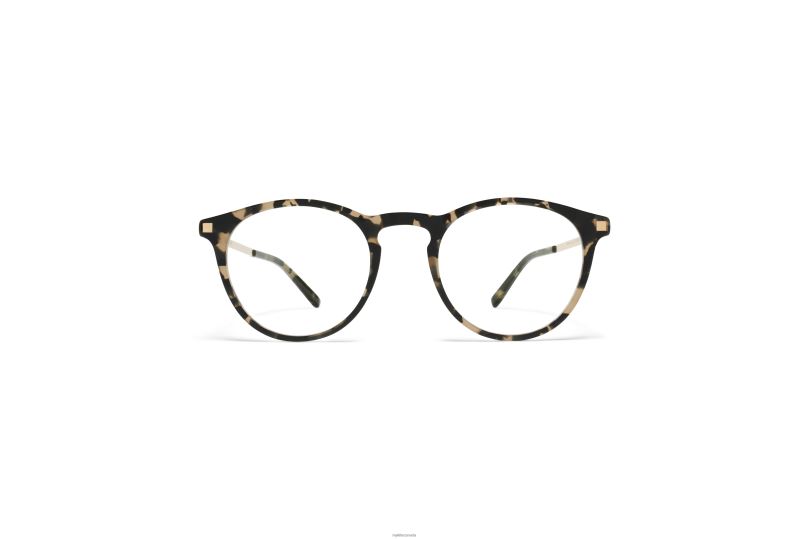 TALINIMYKITA Frame: C22 Antigua/Champagne Gold B260B667 Lite