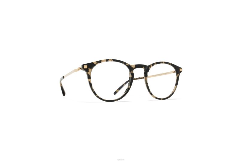 TALINIMYKITA Frame: C22 Antigua/Champagne Gold B260B667 Lite
