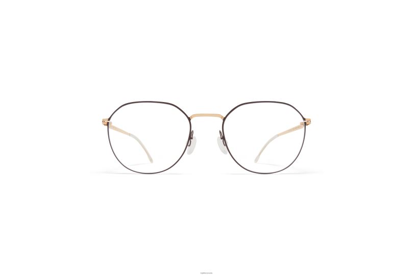 YNGVEMYKITA Frame: Champagne Gold/Dark Brown B260B686 Lite