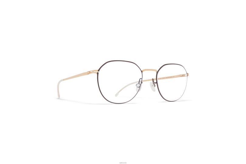 YNGVEMYKITA Frame: Champagne Gold/Dark Brown B260B686 Lite