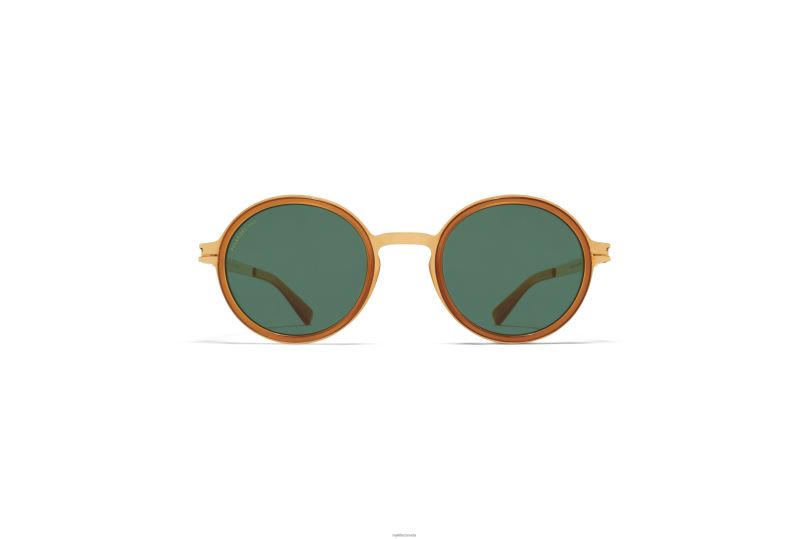 DAYOMYKITA Frame: A56 Glossy Gold/Brown Dark Bro|Lens: Polarized Pro Green 15 B260B186 Acetate