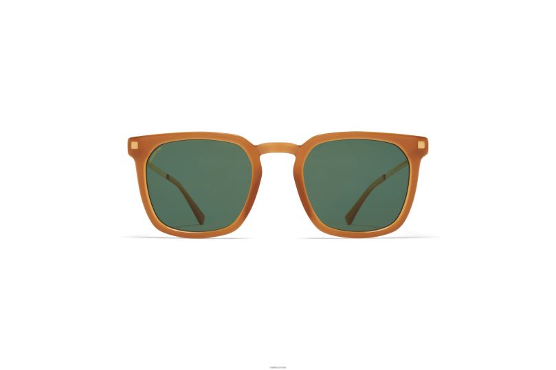 BORGAMYKITA Frame: C99 Brown Dark Brown/Glossy Go|Lens: Polarized Pro Green 15 B260B115 Lite