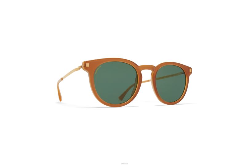 LAHTIMYKITA Frame: C99 Brown Dark Brown/Glossy Go|Lens: Polarized Pro Green 15 B260B202 Lite