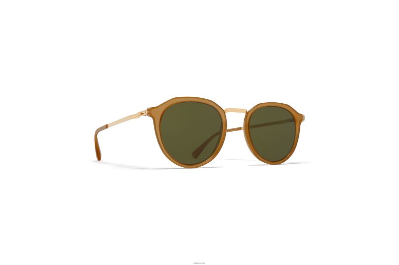 PAULSONMYKITA Frame: A56 Glossy Gold/Brown Dark Bro|Lens: Raw Green Solid B260B215 Lite
