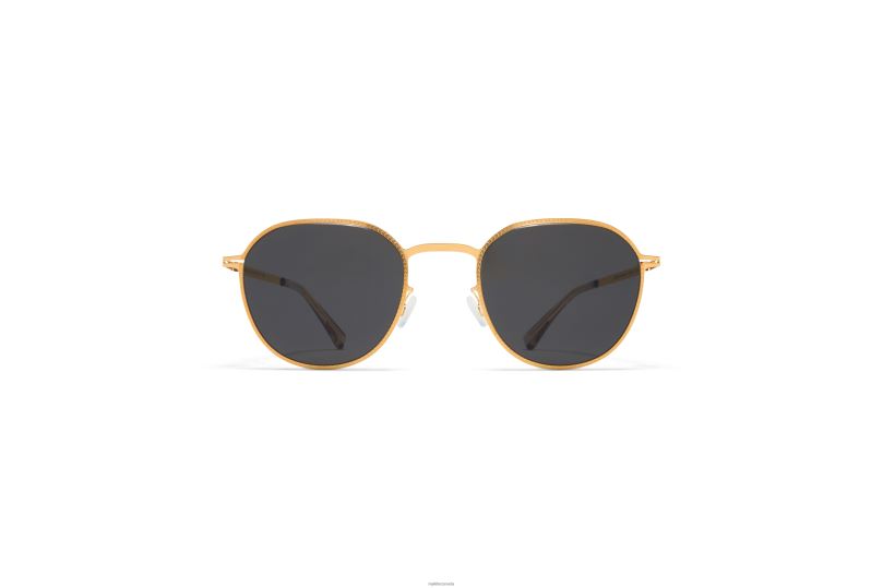 TALVIMYKITA Frame: Glossy Gold|Lens: Dark Grey Solid B260B217 Lite