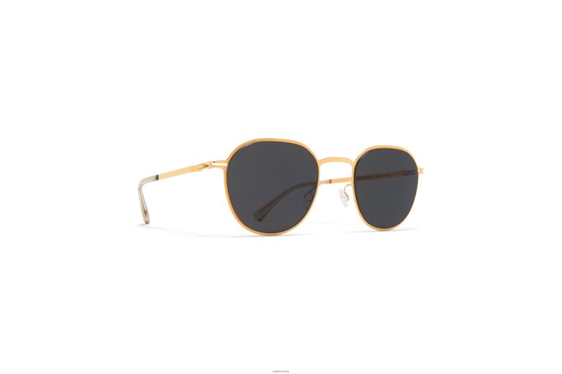 TALVIMYKITA Frame: Glossy Gold|Lens: Dark Grey Solid B260B217 Lite
